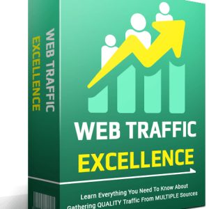 Web Traffic Excellence