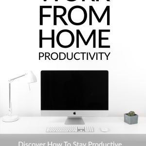 Work From Home Productivity